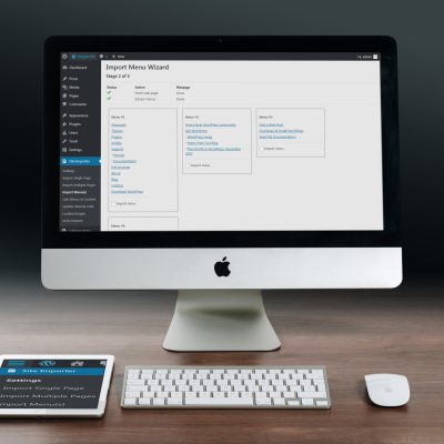 WP Site Importer Screen Shot Import Menus